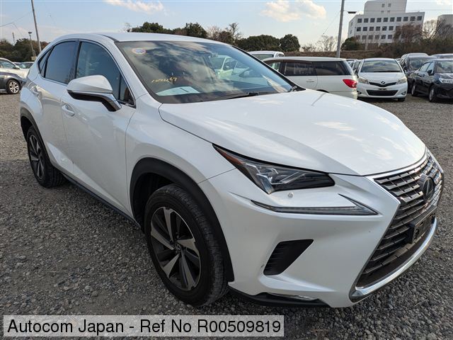 LEXUS NX300